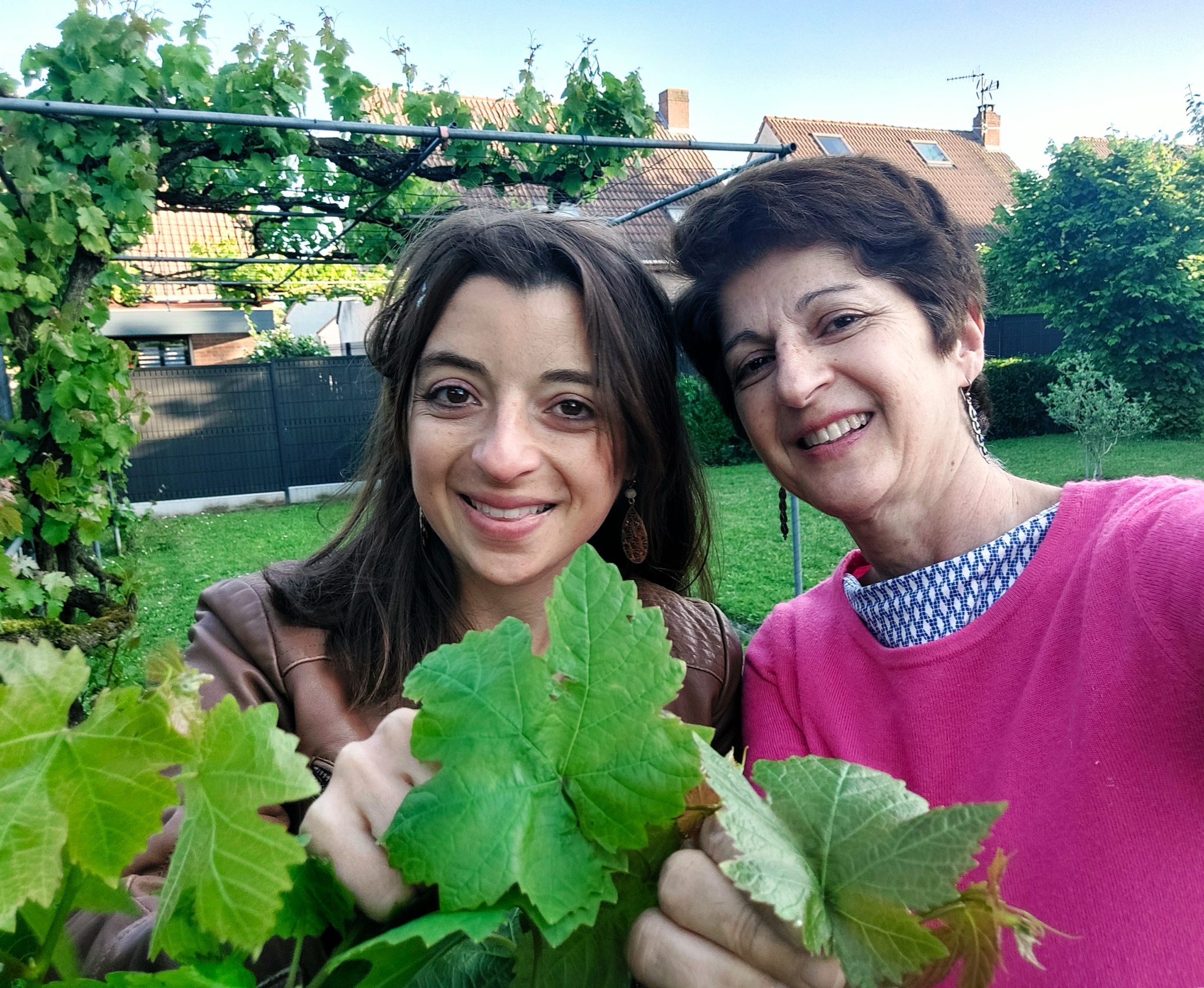 Tuto Feuilles De Vigne Comment Les Cueillir Et Les Conserver