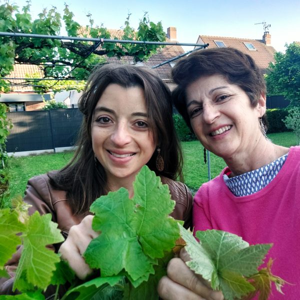 CUISINE A LA GRECQUE TUTO FEUILLES DE VIGNE